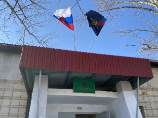Подросток получил 30 тысяч рублей за нападение собаки в Краснокаменске